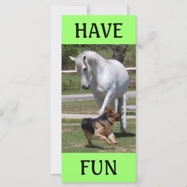 HORSE & DOG PLAY (Front)