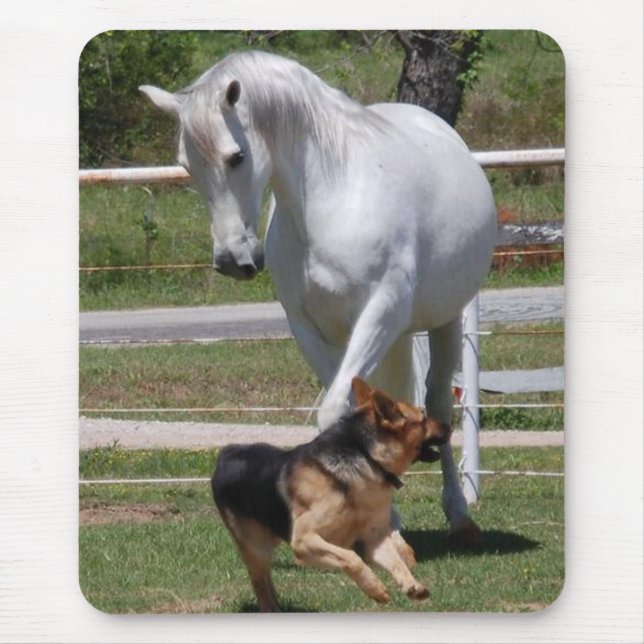 HORSE & DOG PLAY MOUSE PAD (Front)