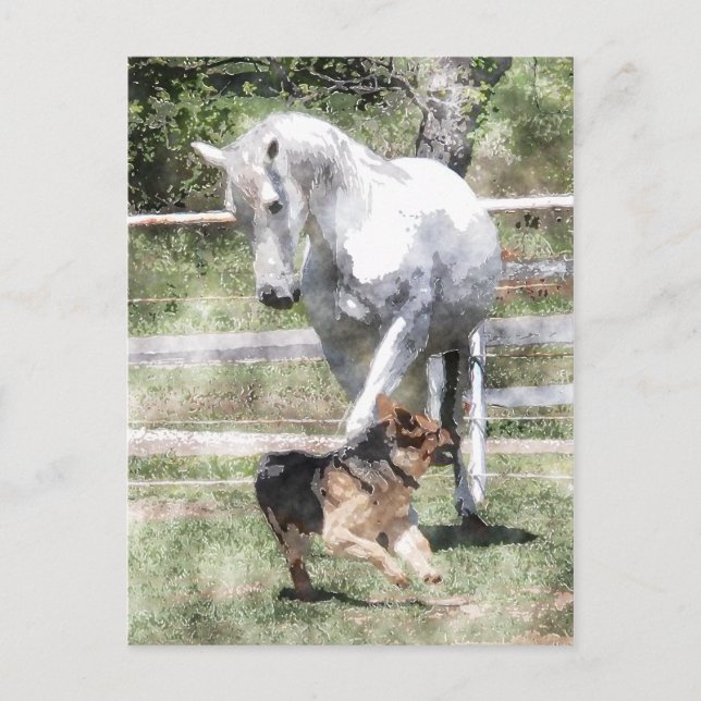 HORSE & DOG PLAY WATERCOLOR POSTCARD (Front)