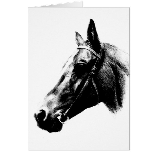 Horse Drawing Artwork Card (Front)