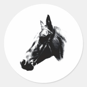 Horse Drawing Artwork Card Classic Round Sticker