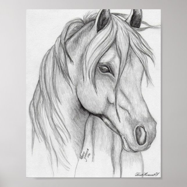 horse drawing Poster (Front)