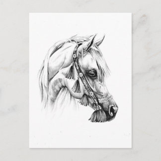 Horse drawing sketch art handmade postcard