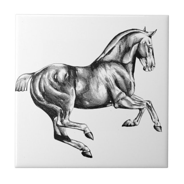 Horse drawing sketch art handmade tile (Front)