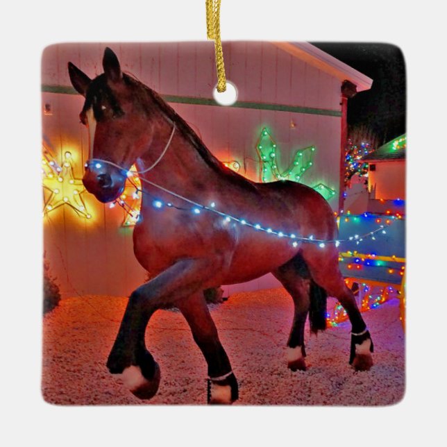 Horse Drawn Carriage Christmas Ornament (Front)