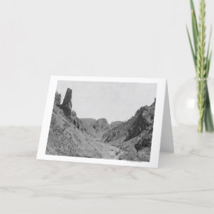 Horse-Drawn Coach in Phantom Ridge Photograph Card