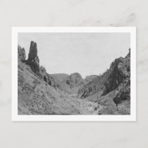 Horse-Drawn Coach in Phantom Ridge Photograph Postcard