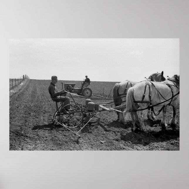 Horse-Drawn Corn Planter, 1940 Poster (Front)