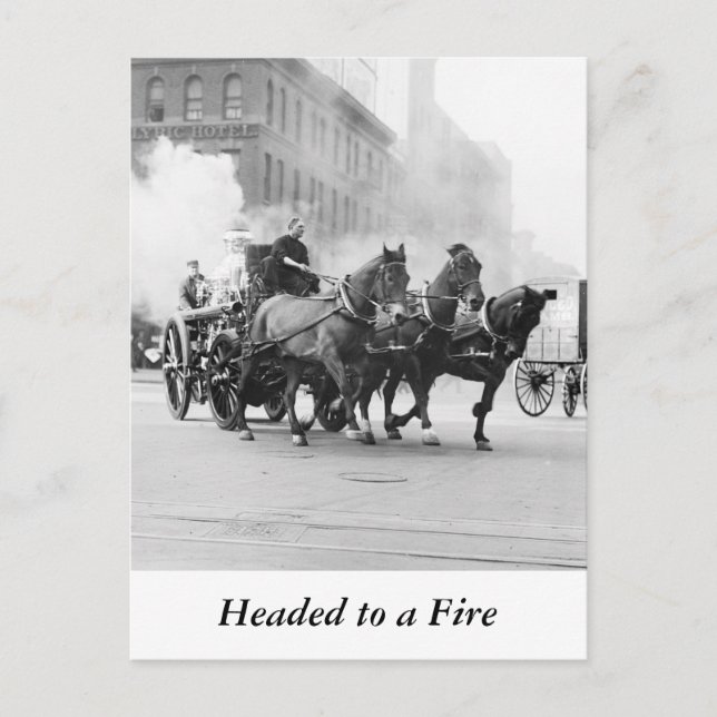 Horse Drawn Fire Engine, early 1900s Postcard (Front)
