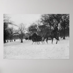 Horse drawn sleigh in Central Park, New York City Poster