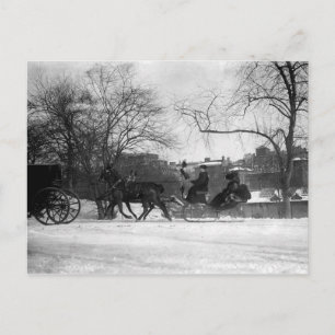 Horse Drawn Sleigh NYC Postcard
