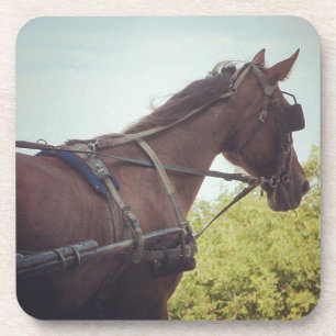 Horse Drawn Transportation Coaster