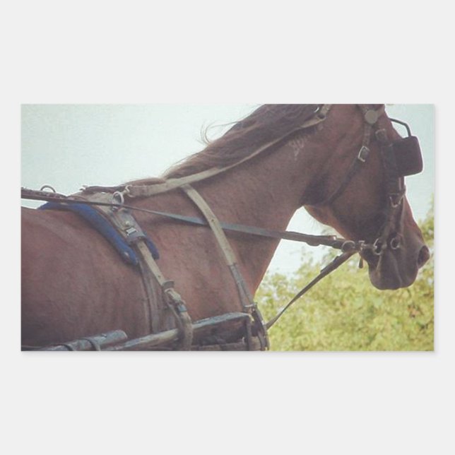 Horse Drawn Transportation Rectangular Sticker (Front)