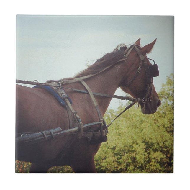 Horse Drawn Transportation Tile (Front)