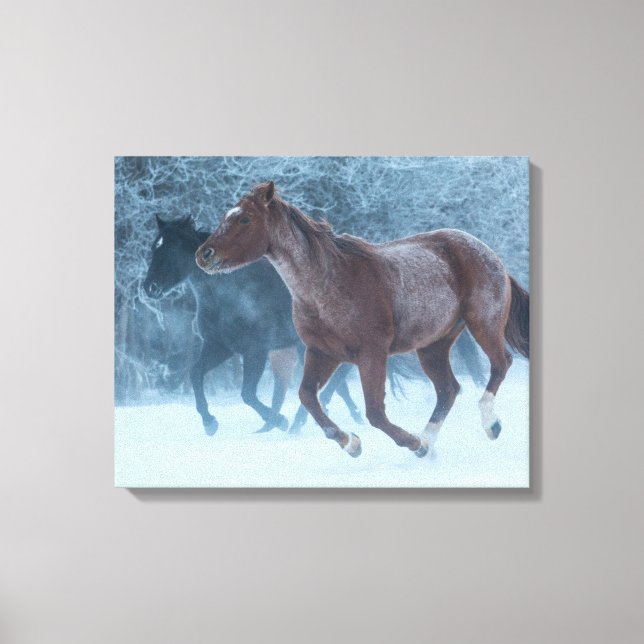 Horse Drive Canvas Print (Front)