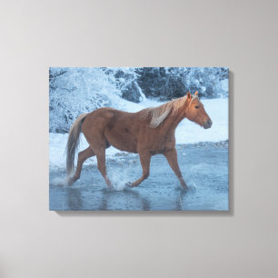 Horse Drive in Winter on Hideout Ranc Canvas Print
