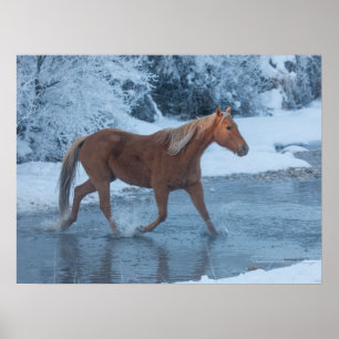 Horse Drive in Winter on Hideout Ranc Poster