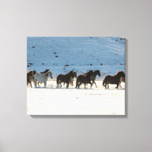 Horse Drive in Winter on Hideout Ranch Canvas Print
