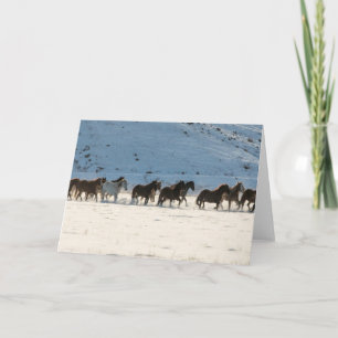 Horse Drive in Winter on Hideout Ranch Card