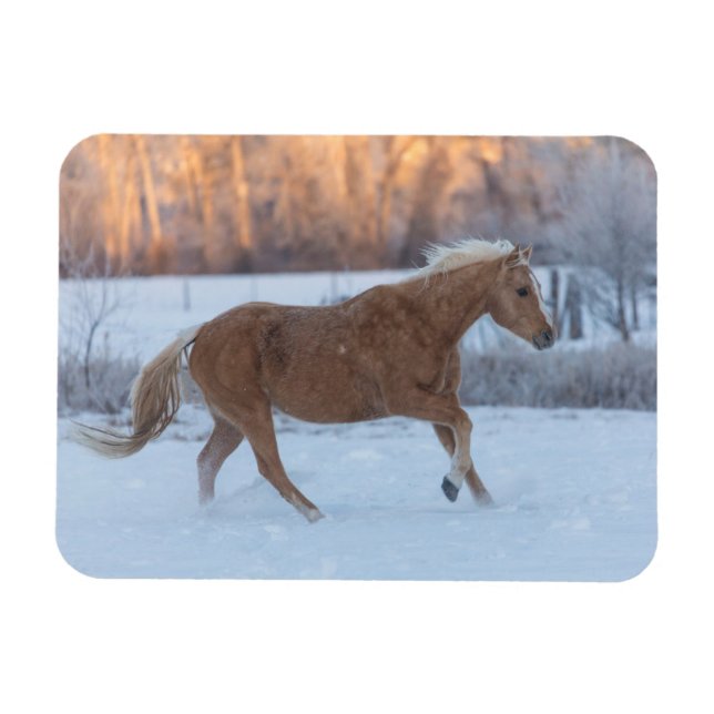 Horse Drive in Winter on Hideout Ranch Magnet (Horizontal)