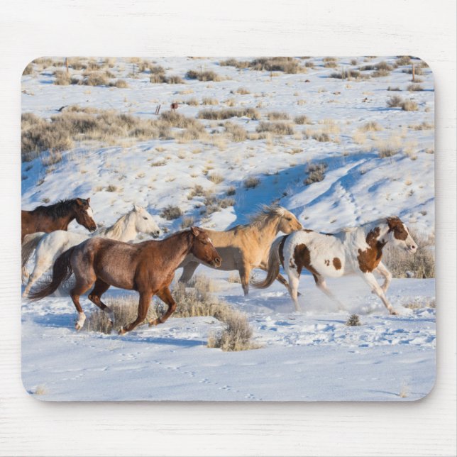 Horse Drive in Winter on Hideout Ranch Mouse Pad (Front)