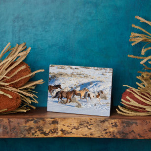 Horse Drive in Winter on Hideout Ranch Plaque