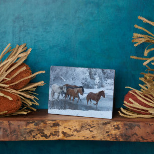 Horse Drive in Winter Plaque