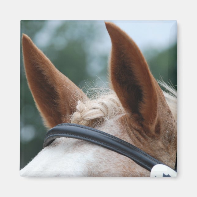 horse ears magnet (Front)