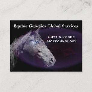 Horse Elegant Professional 3.5" x 2.5" Business Card