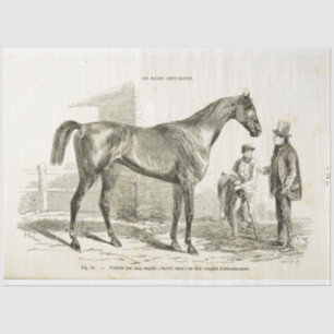 Horse Ephemera Decoupage Vintage French Tissue Pap Tissue Paper