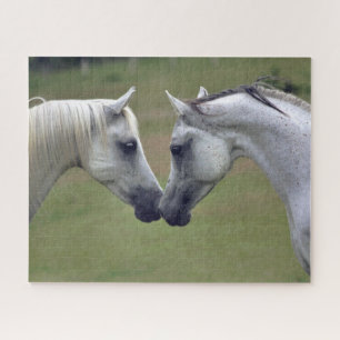 Horse Equestrian  Jigsaw Puzzle