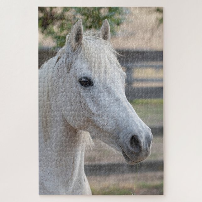 Horse Equestrian Jigsaw Puzzle (Vertical)