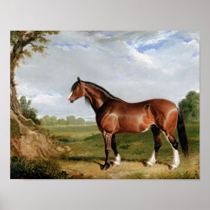 Horse Equestrian Oil Painting Vintage Antique Poster