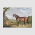 Horse Equestrian Oil Painting Vintage Antique 