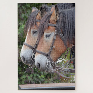 Horse Equestrian Pair of Clydesdales Jigsaw Puzzle