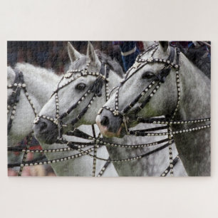 Horse Equestrian Parade Jigsaw Puzzle