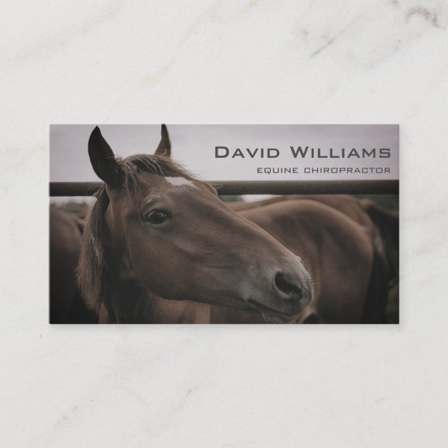 Horse Equine Chiropractor Physiotherapist  Business Card (Front)