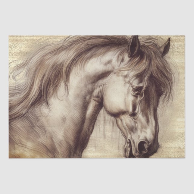 Horse Equine Sketch Tissue Paper (Front)