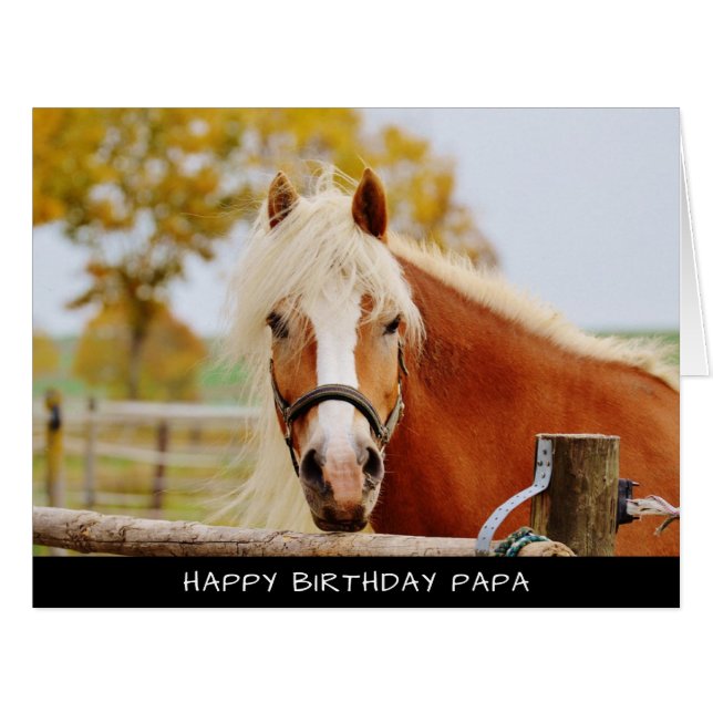 Horse Extra Large Birthday Card (Front Horizontal)