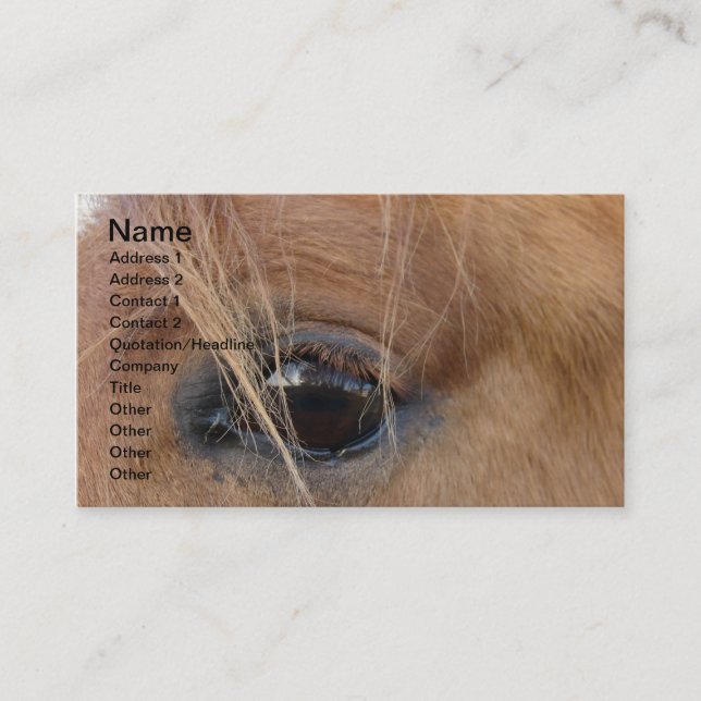Horse Eye Business Card (Front)