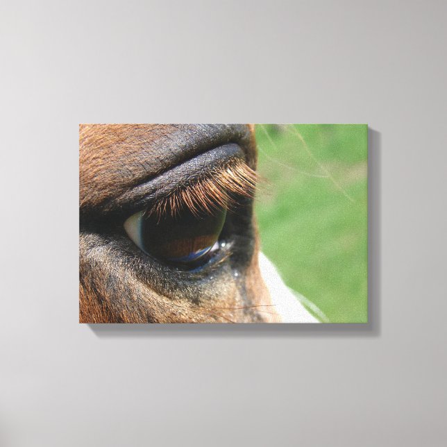 Horse Eye Canvas Print (Front)