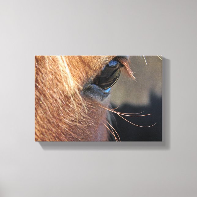 Horse Eye Canvas Print (Front)