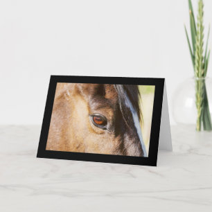 Horse Eye Card