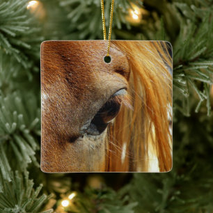 Horse Eye Closeup Ceramic Ornament