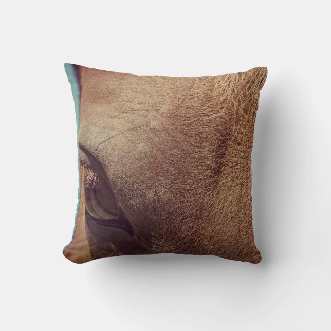 Horse Eye Cushion (Front)