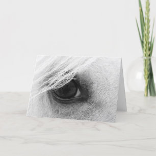Horse Eye in Black and White Card