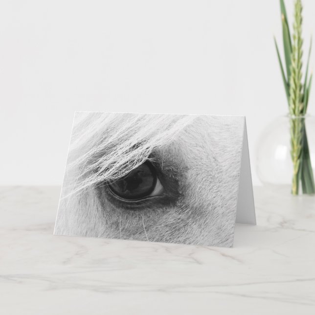 Horse Eye in Black and White Card (Front)