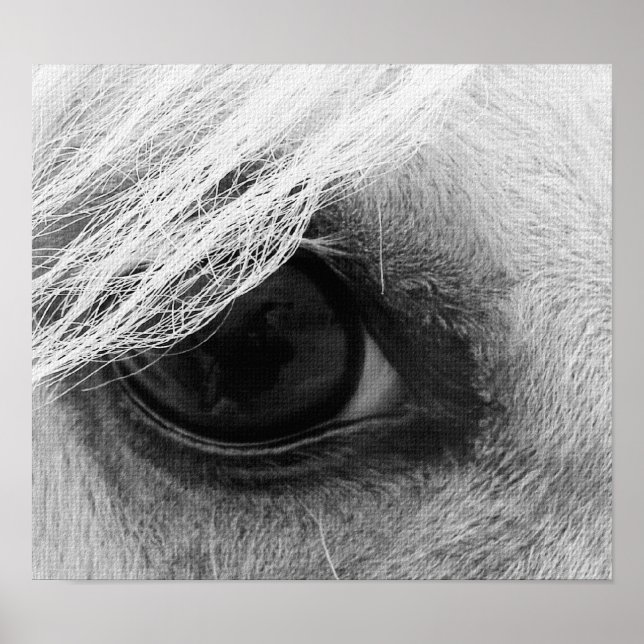 Horse Eye in Black and White Poster (Front)