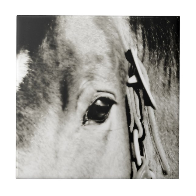 Horse Eye Photograph Tile (Front)