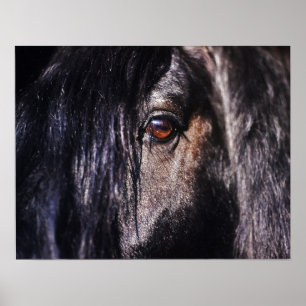 Horse eye poster